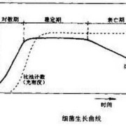生长停滞期名词解释,胎儿发育停滞是什么意思
