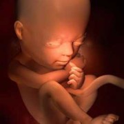 怀孕7个半月胎儿图片（怀孕7个半月胎儿图片欣赏）
