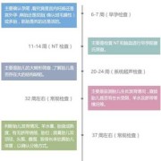 孕妇b超做多了对胎儿有影响吗？需要每个月都做B超检查吗,孕期b超时间及参数对照表