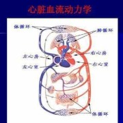 胎儿三房心（胎儿三房心需要引产吗）