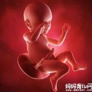 36周胎儿六斤算大吗,怀孕6周胎儿多大图片