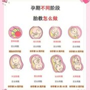 怀孕多久可以胎教,怀孕期间胎教最佳时间