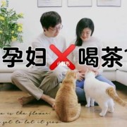 孕期不能喝茶（怀孕期间能喝茶吗）