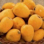 适合支气管扩张吃的食物,胎儿肠管扩张吃什么好得快