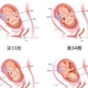 孕胎儿偏大（孕胎儿偏大一周怎么办？这是什么情况）