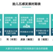 怎样胎教,胎儿胎教一天最佳时间是几点