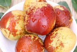 孕妇吃鲜枣对胎儿好吗（孕妇吃枣对胎儿好吗）