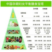 孕期的营养（孕期的营养指导内容）