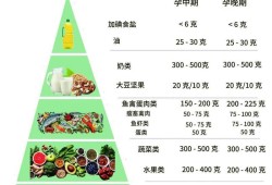 孕期的营养（孕期的营养指导内容）