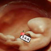 26周宝宝在肚子里什么样的,孕26周胎儿在肚子姿势图片