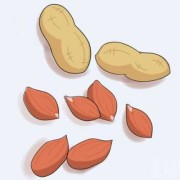 芝麻节什么意思,孕期梦见花生是什么预兆