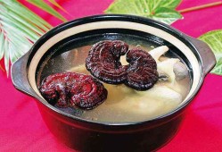怀孕期间能吃灵芝吗（怀孕期间能吃灵芝吗?）