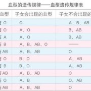出生证明上怎么看宝宝血型,如何知道胎儿血型是否正常