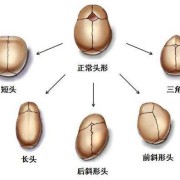 宝宝头骨发育过程,胎儿颅骨发育过程图