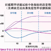孕期内分泌（孕期内分泌）
