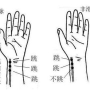 胎儿脉搏弱（​脉搏微弱几乎把不出来怎么回事）