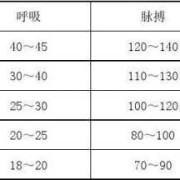 胎儿心率多少,胎儿脉搏正常值是多少 11周