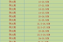 孕38+4宝宝腹围36.6腹围偏大是什么原因,30周胎儿腹围偏大说明什么