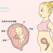怀孕13周胎儿稳定了吗（怀孕13周胎儿稳定了吗可以同房吗）