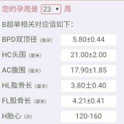 怀孕23周胎儿生长指标，胎儿有多长了呢,23周胎儿发育标准数据表四维彩超