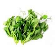 孕期豆苗（含铁蔬菜前十名）