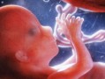 怀孕二个月胎儿图片（4个月胎儿的模样是什么样子的？都发育什么了）