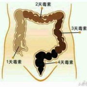孕期排宿便（孕期排宿便）