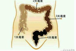 孕期排宿便（孕期排宿便）