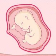 怀孕34周胎心160正常吗,胎儿心脏看不清的原因有哪些