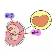 胎儿没有胎心的症状（胚胎停止发育的症状是什么）