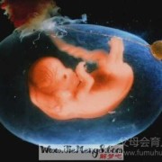 梦见胎儿（梦见胎儿）