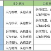 头孢对胎儿的影响（头孢对胎儿的影响主要是哪方面）