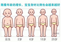 刚出生的婴儿的手臂有多长多粗,胎儿胳膊腿短的原因