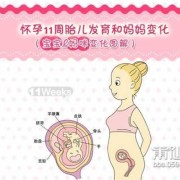 婴儿三月指的是多少天,怀孕三月胎儿图片大全