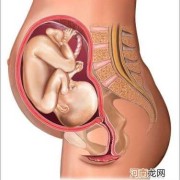 38周的宝宝在肚子里什么样,怀孕38周胎儿真实图片欣赏