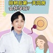 怀孕期会排卵吗（怀孕期会排卵吗会怀孕吗）