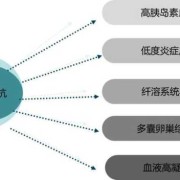 孕期胰岛素抵抗（孕期胰岛素抵抗怎么控制）