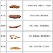 怀孕期间大便次数增多（怀孕期间大便次数增多正常吗）
