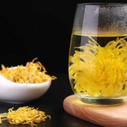 孕期可以喝菊花茶吗（菊花茶孕妇能喝吗）