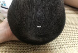胎儿40天（为什么婴儿要四十天才能剪头发啊）