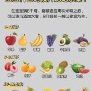 宝宝2月龄指哪几周,孕期第二个月吃什么对胎儿发育好
