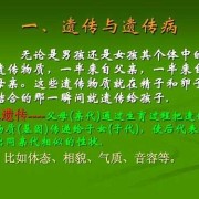 为什么外貌由父方决定,胎儿长相什么时候决定男女