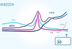 孕期激素变化（孕期激素变化曲线）