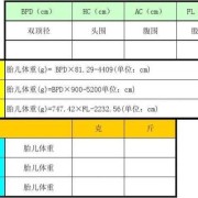 计算胎儿体重器（计算胎儿体重器的公式）