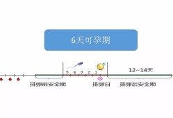 女生受孕期（女生受孕期）