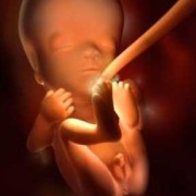 怀孕四个月了宝宝位置是在哪里了的啊,孕四个月胎儿在什么位置示意图