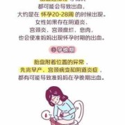 孕期不出血（孕期不出血是不是代表安全）