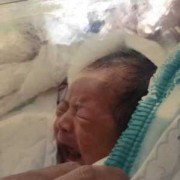 新生儿怎么看鼻梁高不高我老公鼻子很高,胎儿鼻梁高是男孩吗