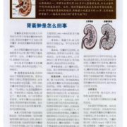 胎儿肾囊肿是怎么回事（胎儿肾囊肿是怎么回事,需要怎么治疗）