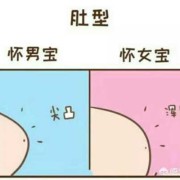胎儿右边动是男还是女（胎儿右边动是男还是女）